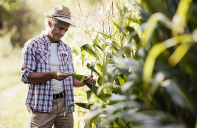 Farm Insurance